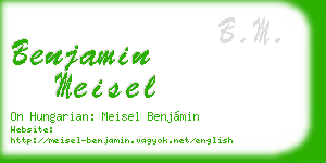 benjamin meisel business card